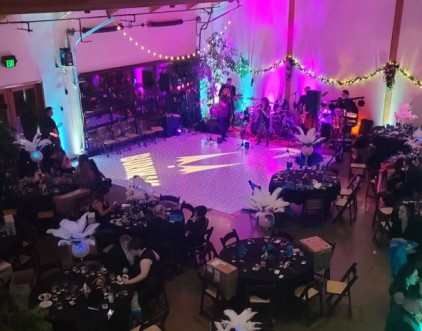 Gala event lighting with elegant uplighting, pin spot lighting, and ambient mood lighting